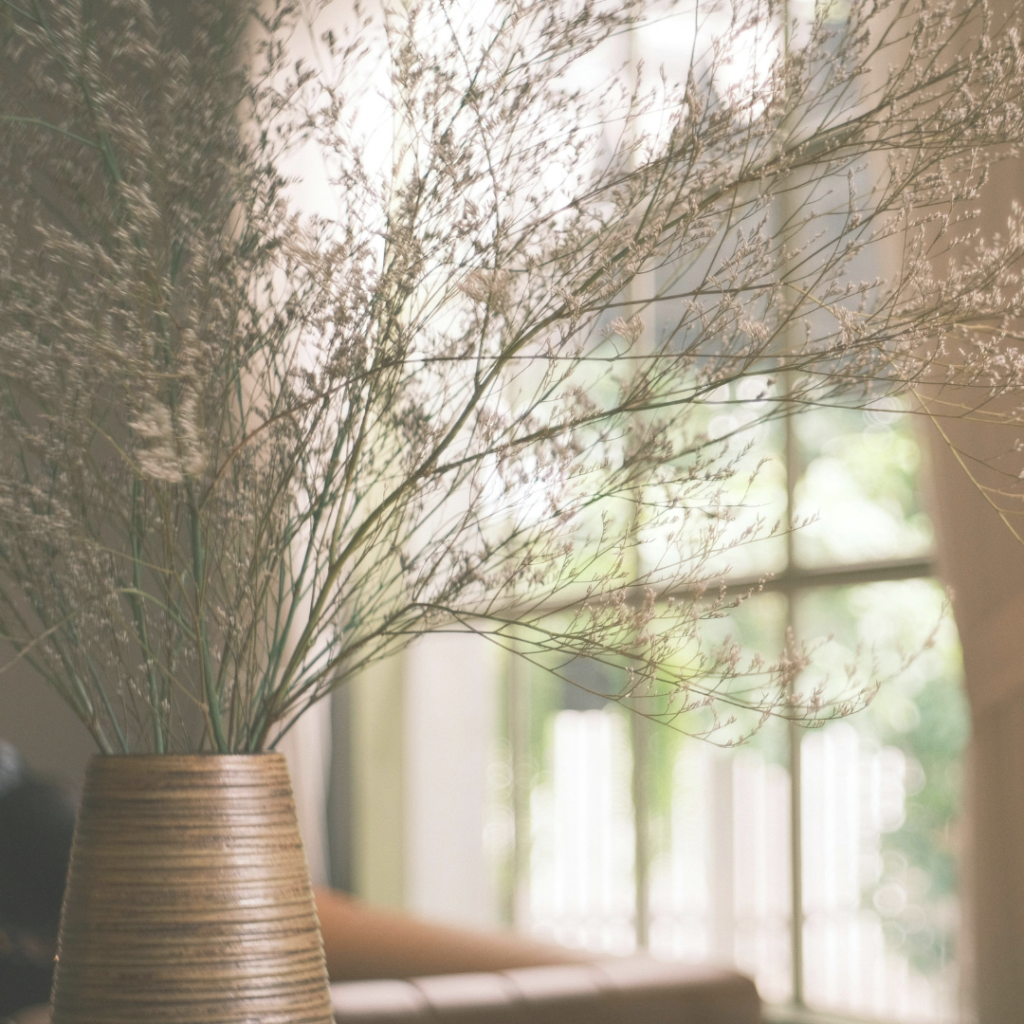 por qué primavera es la mejor época para reformar